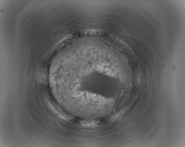 X0000085830661200703301620