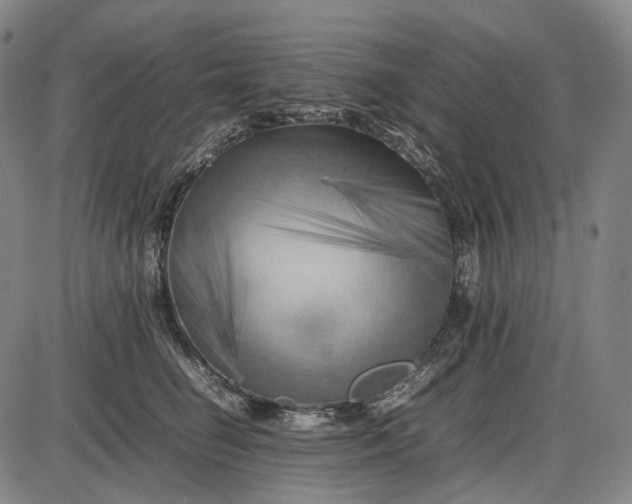 X0000085830662200703301620