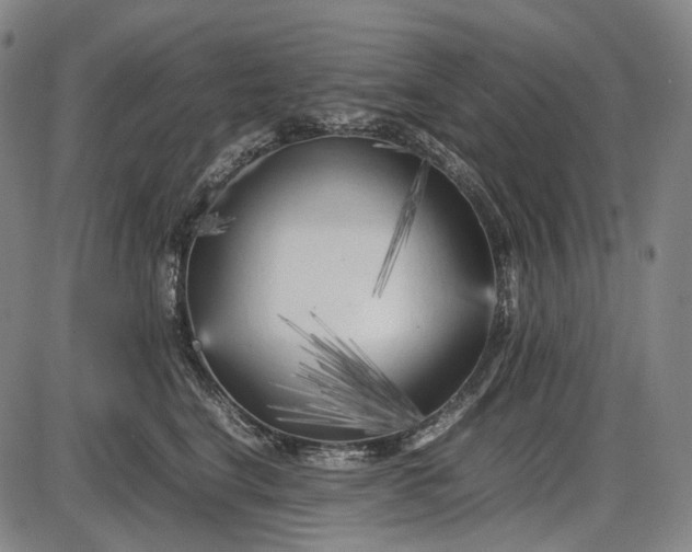 X0000085830664200703301620