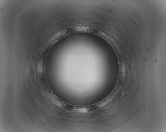 X0000085830665200703301621