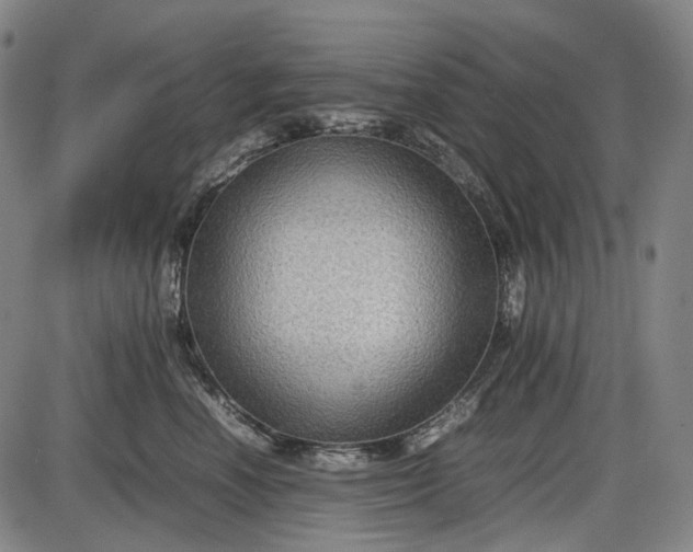 X0000085830666200703301621