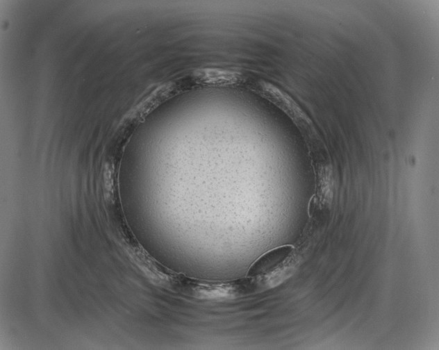 X0000085830667200703301621