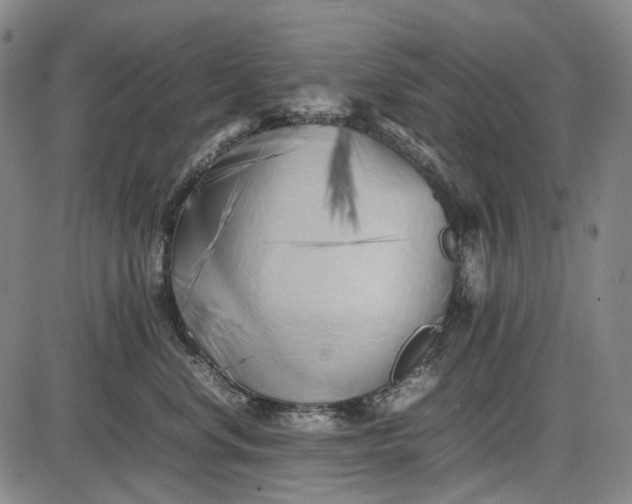 X0000085830668200703301621