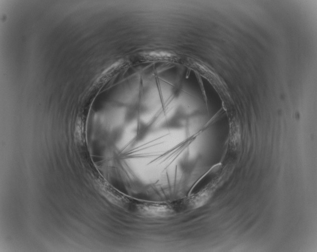 X0000085830669200703301621