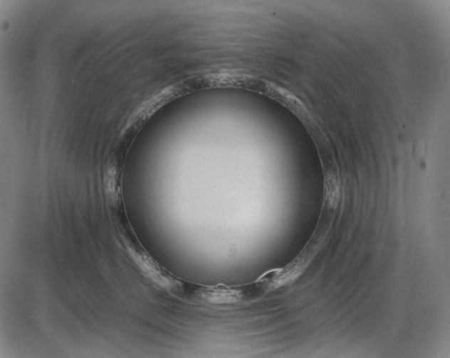 X0000085830670200703301621