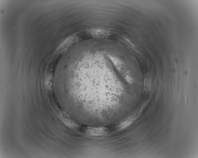 X0000085830671200703301621