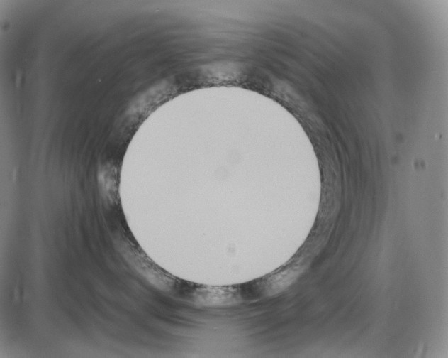 X0000085830672200703301621