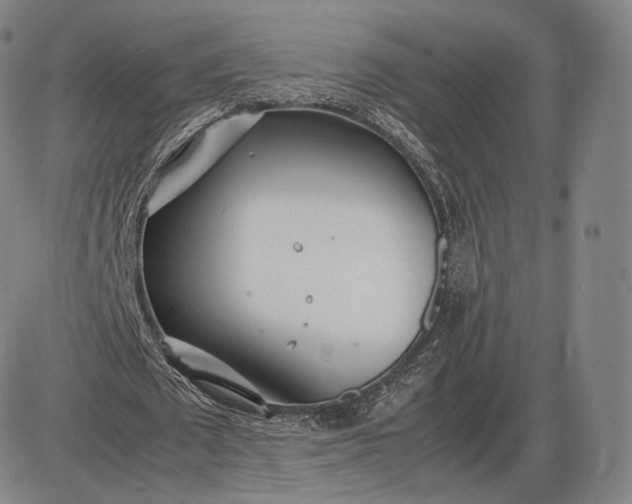 X0000085830673200703301620