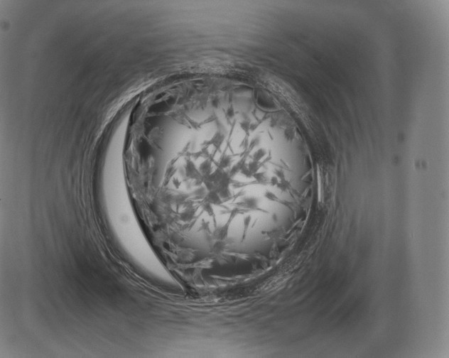 X0000085830675200703301620