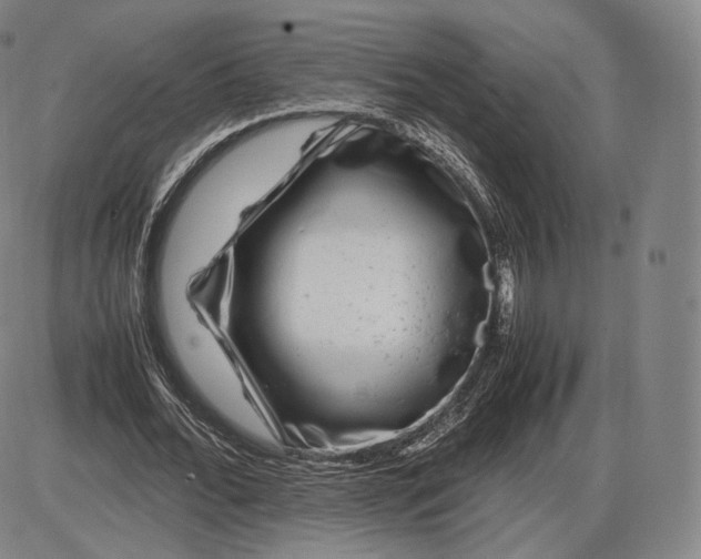 X0000085830676200703301620