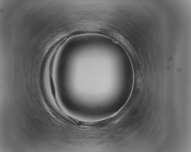 X0000085830677200703301620