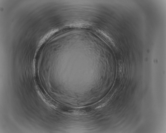 X0000085830678200703301620