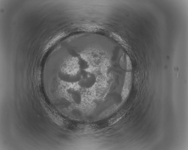 X0000085830679200703301620