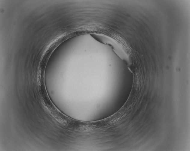 X0000085830680200703301620