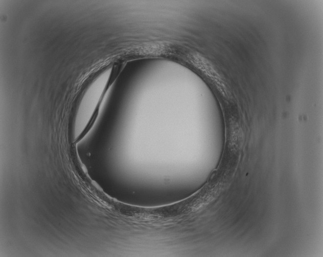 X0000085830681200703301620