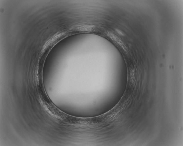 X0000085830682200703301620