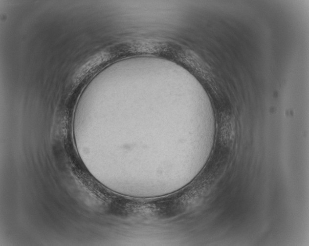 X0000085830683200703301620