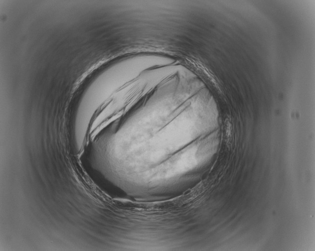 X0000085830684200703301620