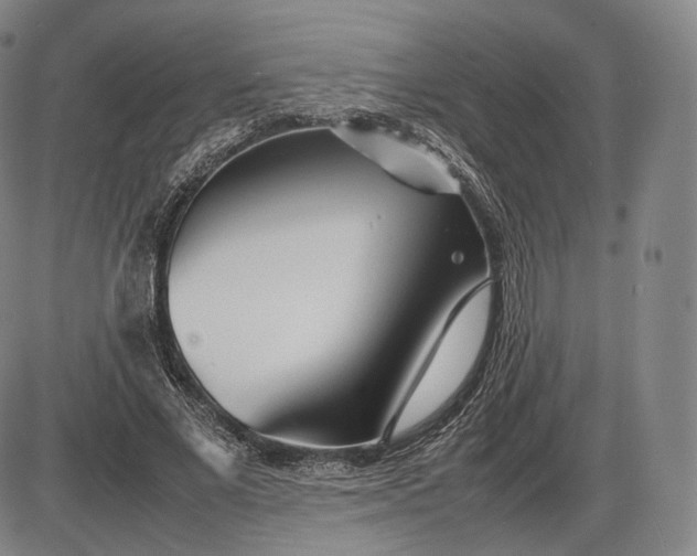 X0000085830685200703301620