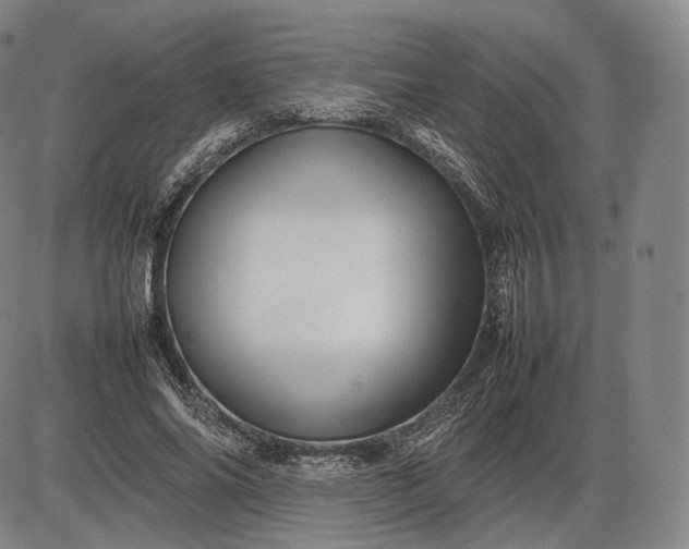 X0000085830686200703301620