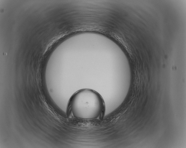 X0000085830688200703301620