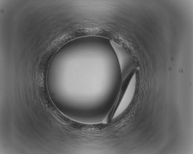 X0000085830689200703301620