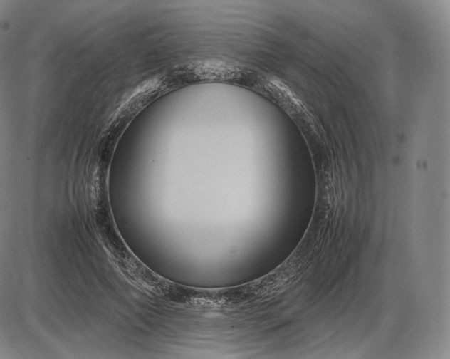 X0000085830690200703301620