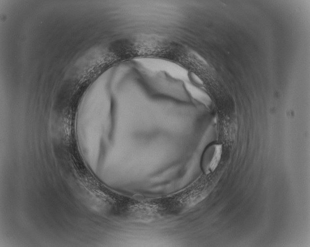 X0000085830691200703301620