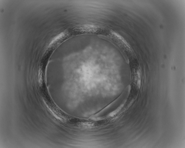 X0000085830692200703301619