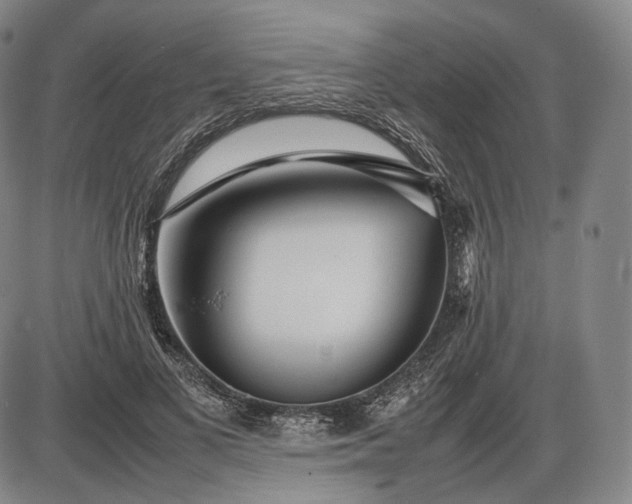 X0000085830693200703301619