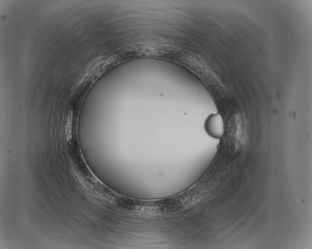 X0000085830694200703301619