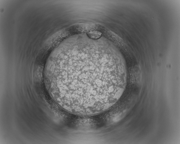 X0000085830695200703301619