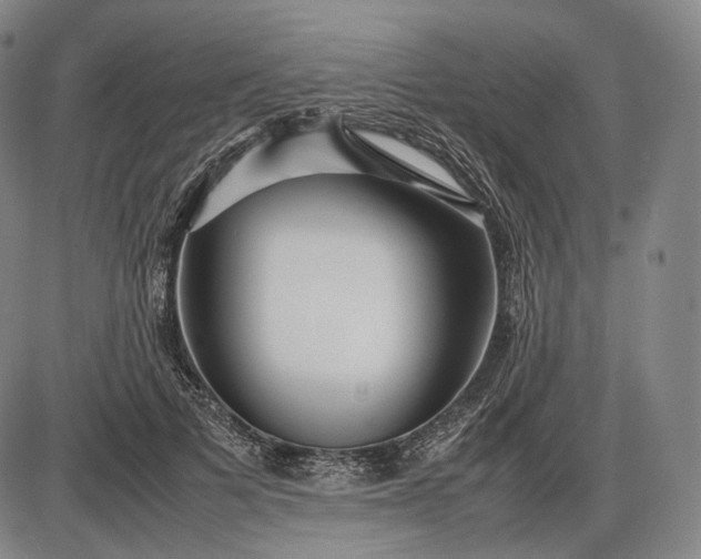 X0000085830697200703301619