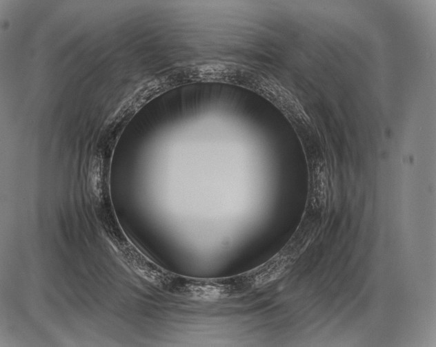 X0000085830698200703301619