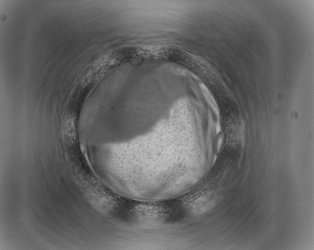 X0000085830699200703301619