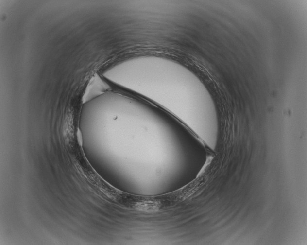 X0000085830700200703301619