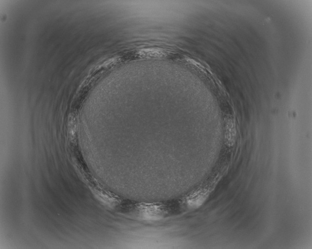 X0000085830701200703301619