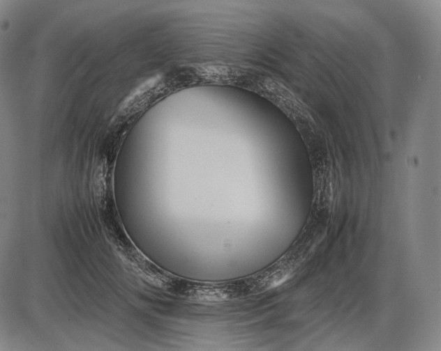 X0000085830702200703301619