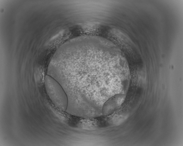 X0000085830703200703301619