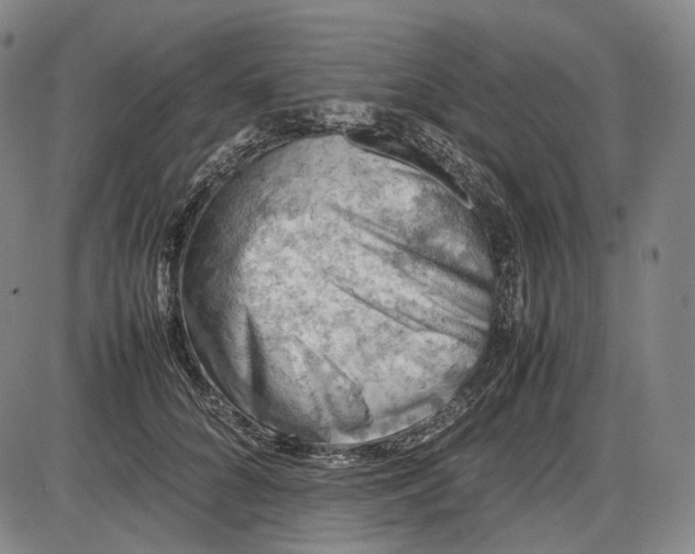 X0000085830704200703301619