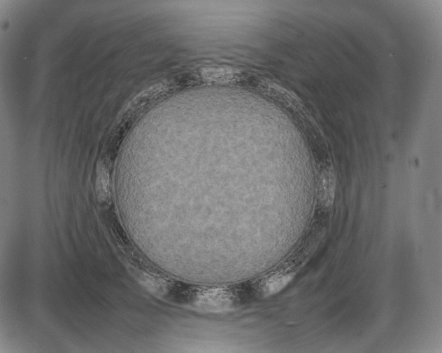 X0000085830705200703301619