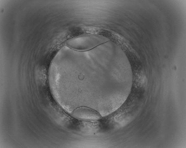 X0000085830707200703301619