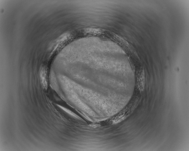 X0000085830708200703301619