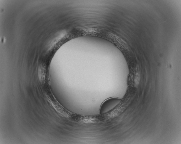 X0000085830710200703301619