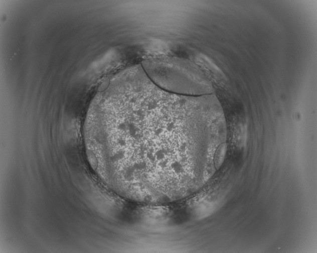 X0000085830711200703301619