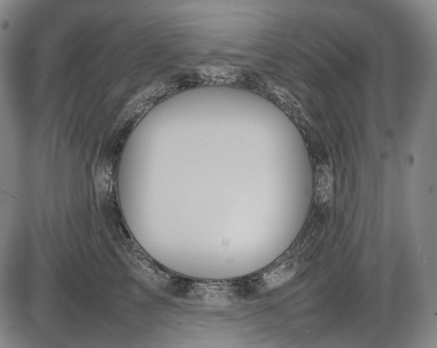 X0000085830713200703301619