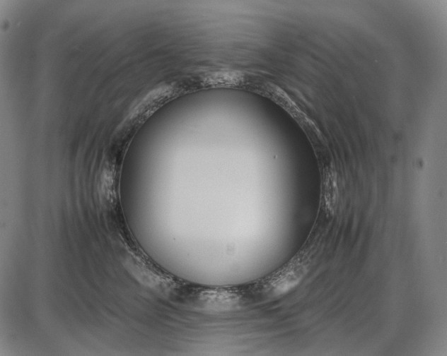 X0000085830714200703301619