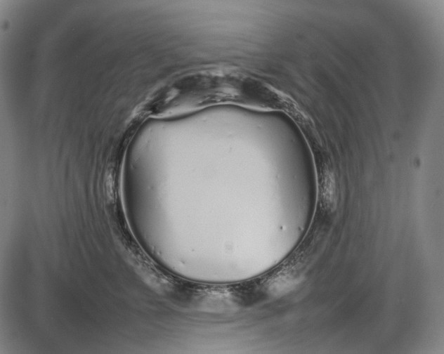 X0000085830715200703301619