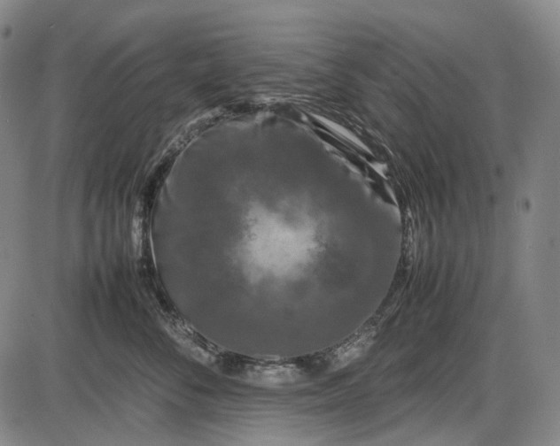 X0000085830716200703301619