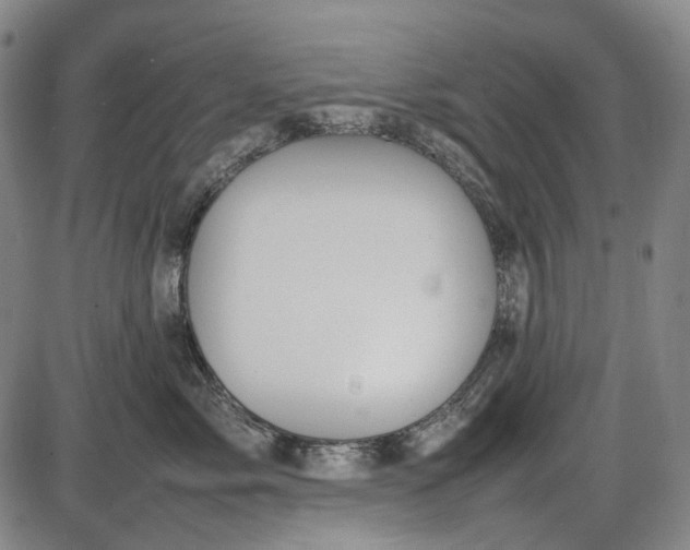 X0000085830717200703301619